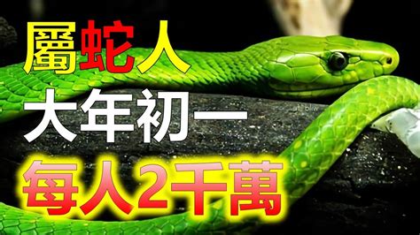 屬蛇五行顏色|【屬蛇五行顏色】屬蛇五行顏色：揭曉旺運必備的幸運。